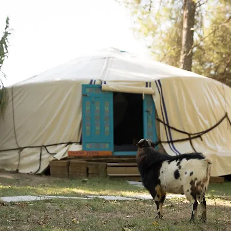 Alloggio per agriturismo Borgo Degli Alpaca San Gervasio