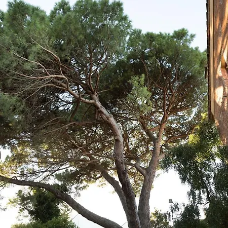 Borgo Degli Alpaca