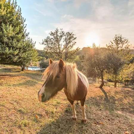 Borgo Degli Alpaca Alloggio per agriturismo