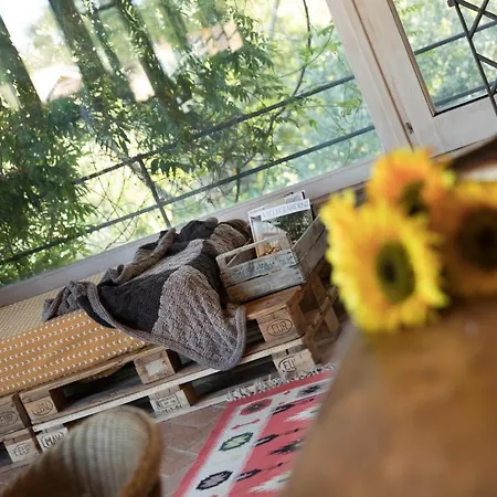 Borgo Degli Alpaca